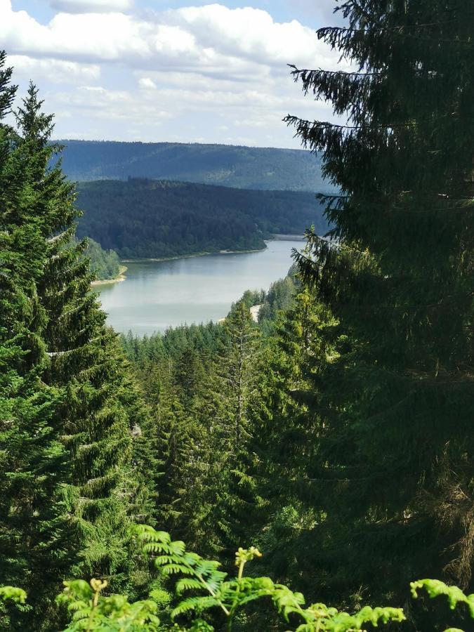 Naehe Nationalpark Baiersbronn Exterior foto