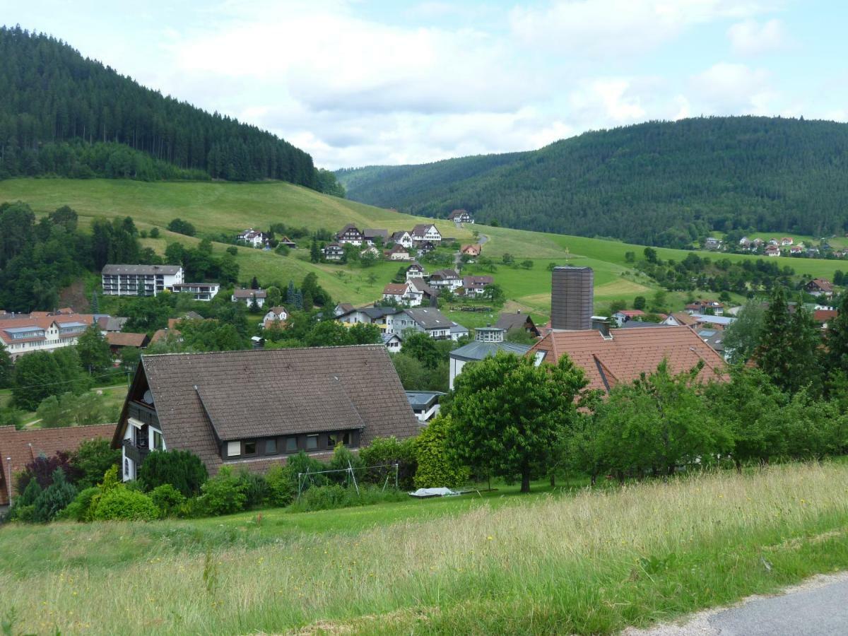 Naehe Nationalpark Baiersbronn Exterior foto