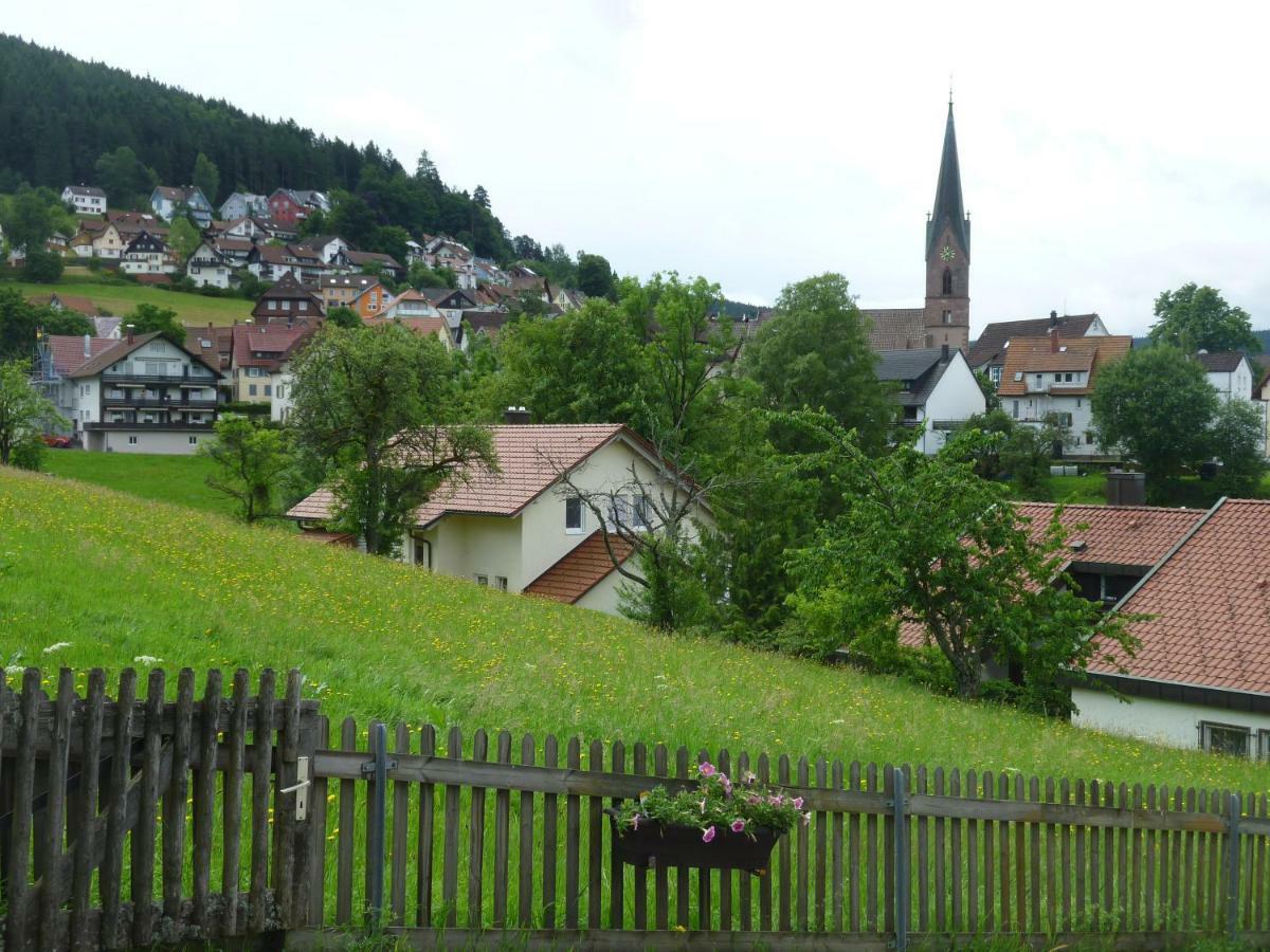 Naehe Nationalpark Baiersbronn Exterior foto