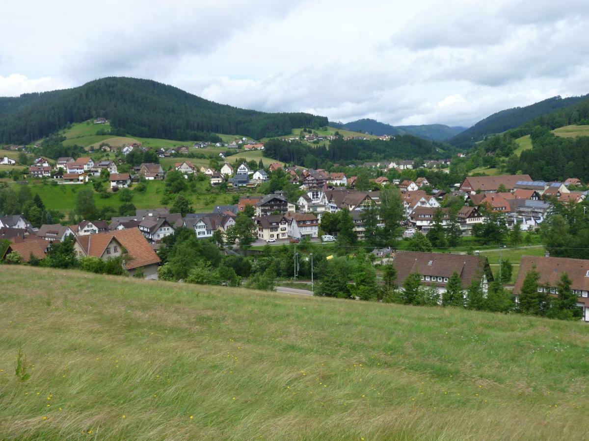 Naehe Nationalpark Baiersbronn Exterior foto